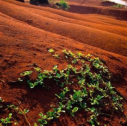 《黎明行者之血》游戏时长适中：不想让游戏变冗长