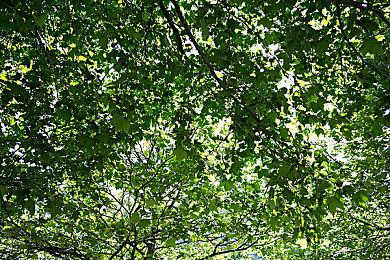 2022暑期高能电玩节：《克苏鲁异闻录2》等游戏试玩版在杉果推出